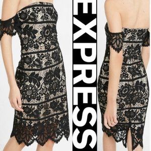 Express Lace Black Nude Dress size 4